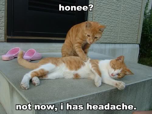 honee-not-now-i-has-headache-1.jpg