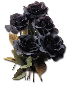 Un Ramo de Rosas Negras
