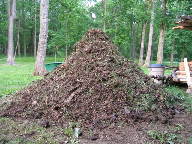 Extreme Composting - Homesteading Questions