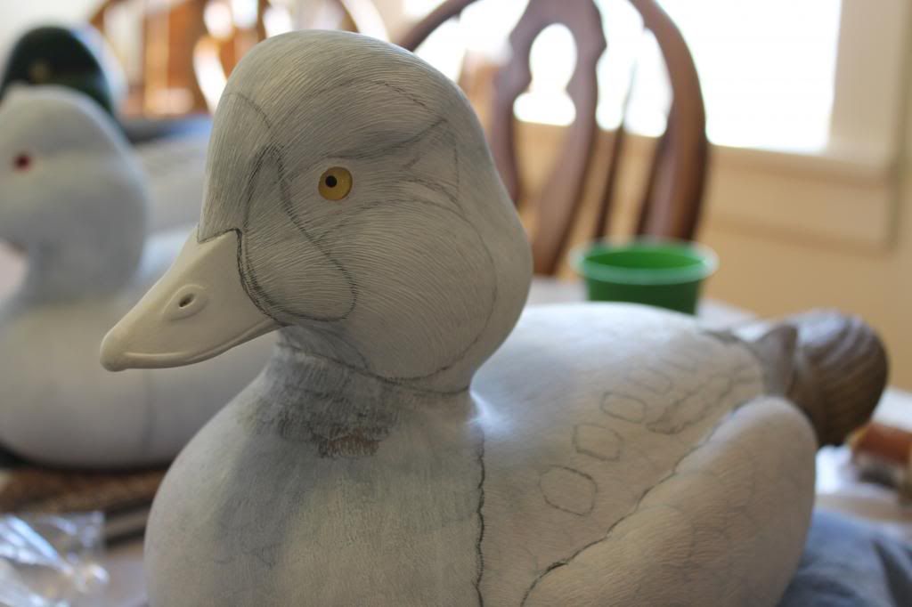 some decoys to paint Duck Decoy Forum
