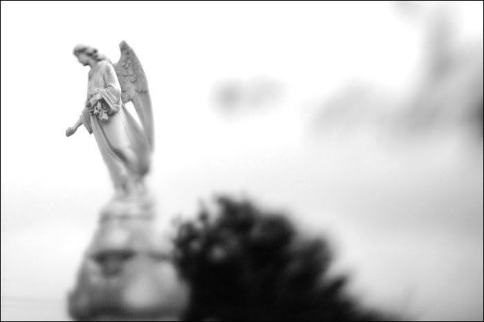 04-Angel.jpg