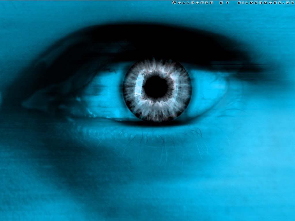 3d_037.jpg