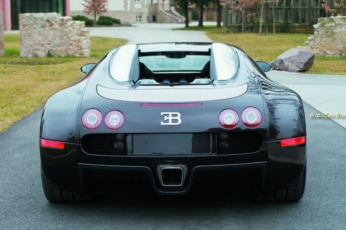 917be668c1.jpg