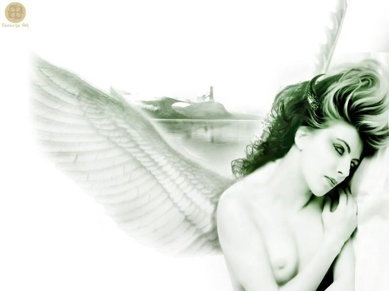 ash121_fallen_angel.jpg