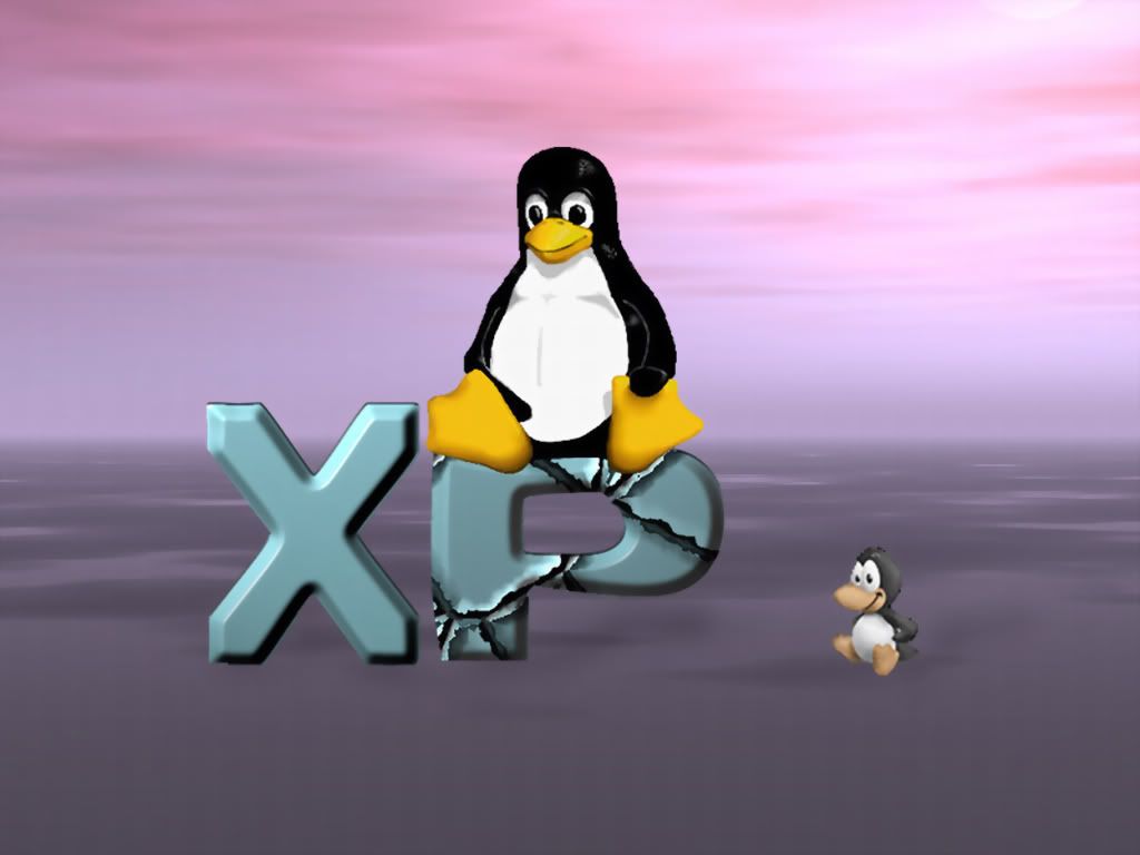 xpbz0074.jpg