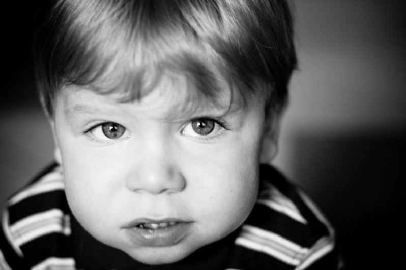 IMAGE: http://i185.photobucket.com/albums/x296/corosario/IMG_0193-2-1.jpg