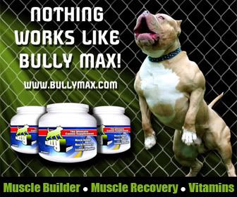 dog supplement,dog supplement,dog supplement muscle,muscle builder for dogs