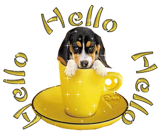 hello.gif hello image by fireblade78
