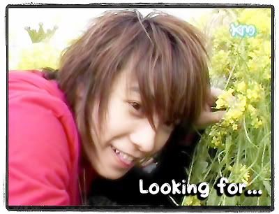 DongHae-Banner45.jpg Looking for... image by bugsza