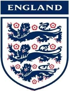 3 lions look