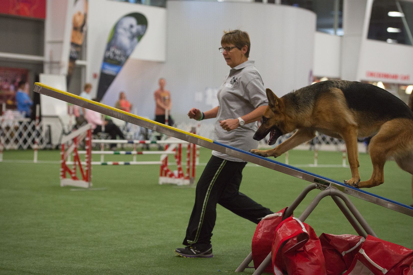 Mayhem's Agility Pics from GSDCA Nationals German Shepherds Forum