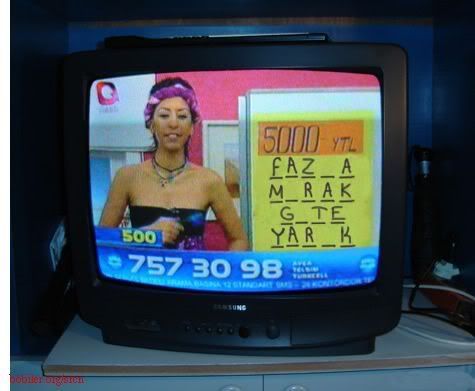 128811204f.jpg