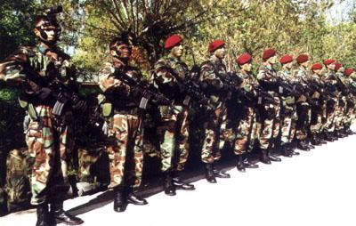 bordo_bereli_2.jpg