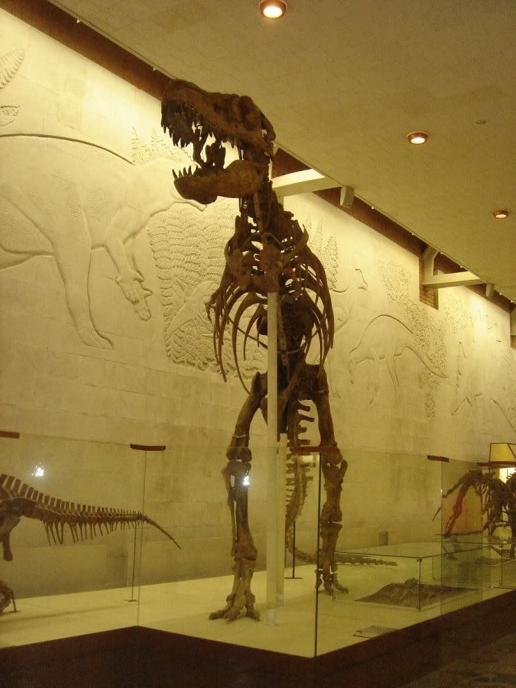 fossils_053.jpg