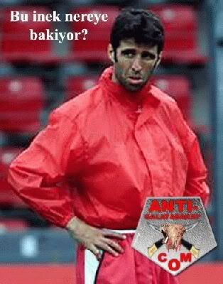 normal_buineknereyebakiyor.jpg