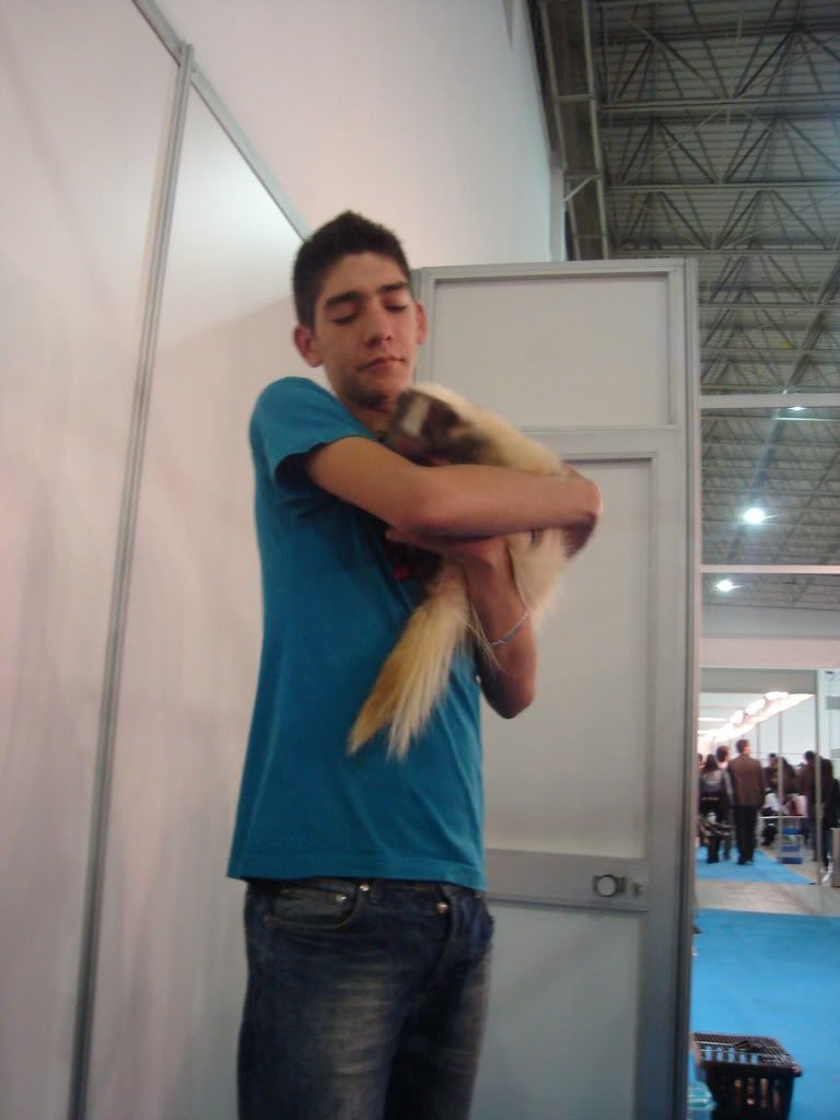 Imagem