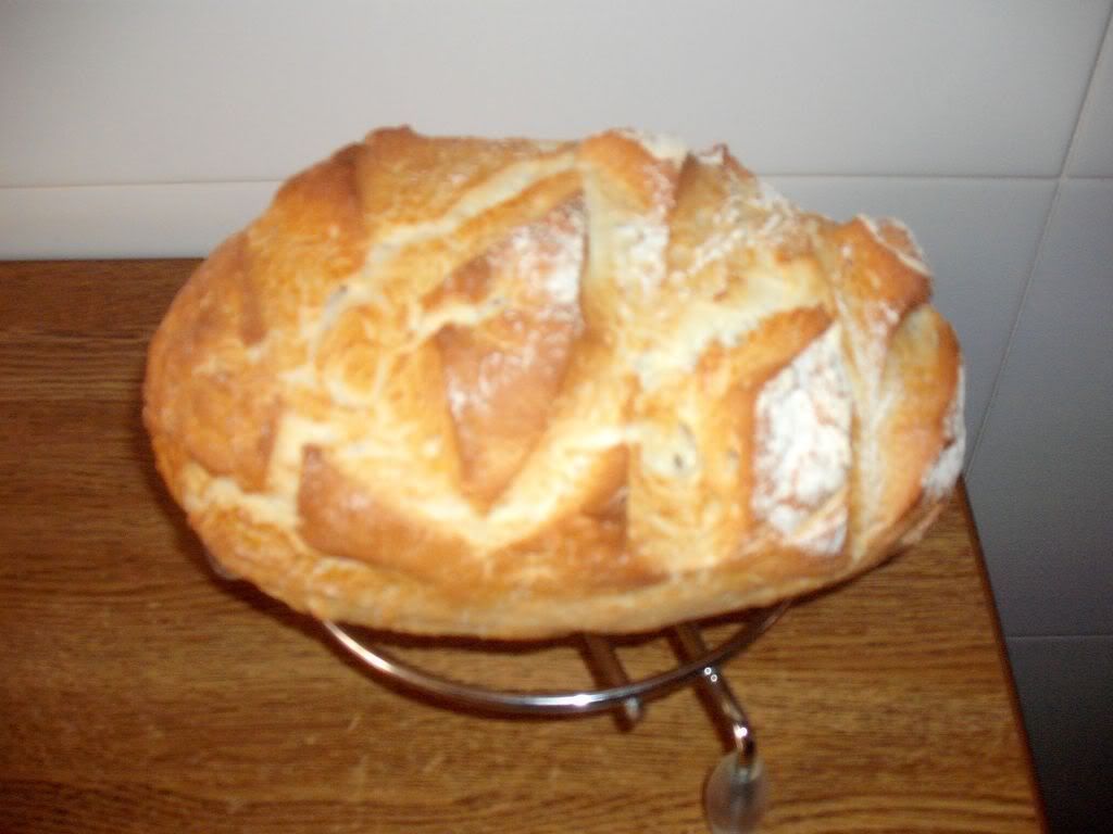 DSCF1286.jpg