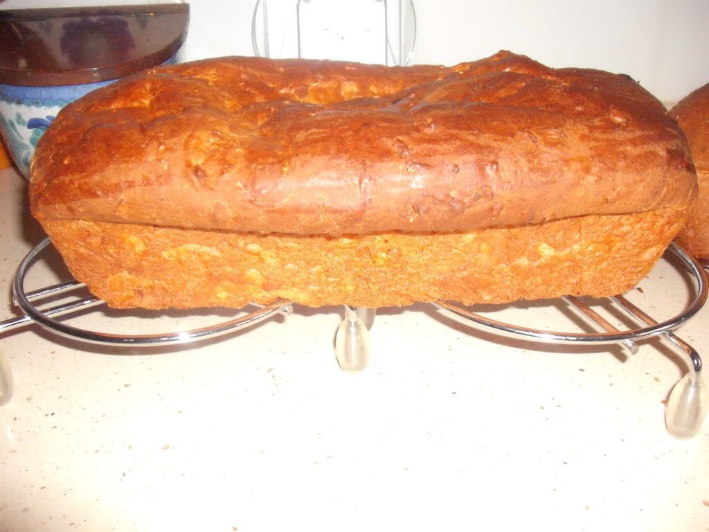 DSCF7531.jpg