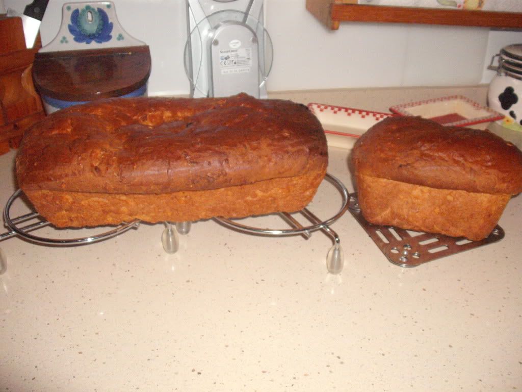 DSCF7533.jpg
