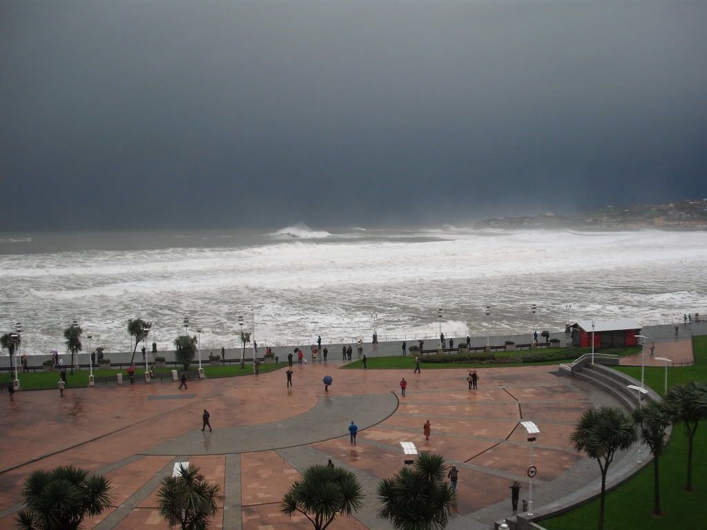 DSCF8708.jpg