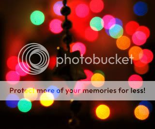 my bokeh Pictures, Images and Photos