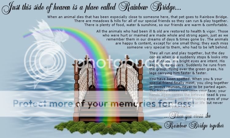 Rainbow Bridge Pictures, Images and Photos