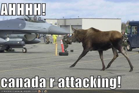 https://i185.photobucket.com/albums/x75/stardust_mage/canadarattacking.jpg
